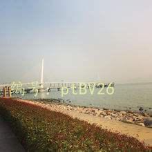 ׶